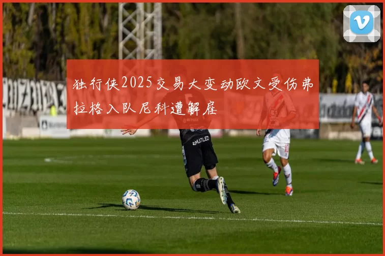 独行侠2025交易大变动欧文受伤弗拉格入队尼科遭解雇